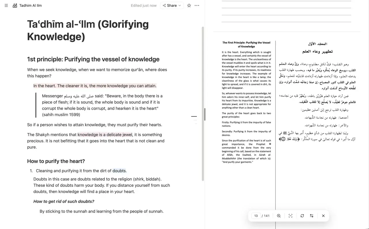 PDF split view with a reference and notes open side by side